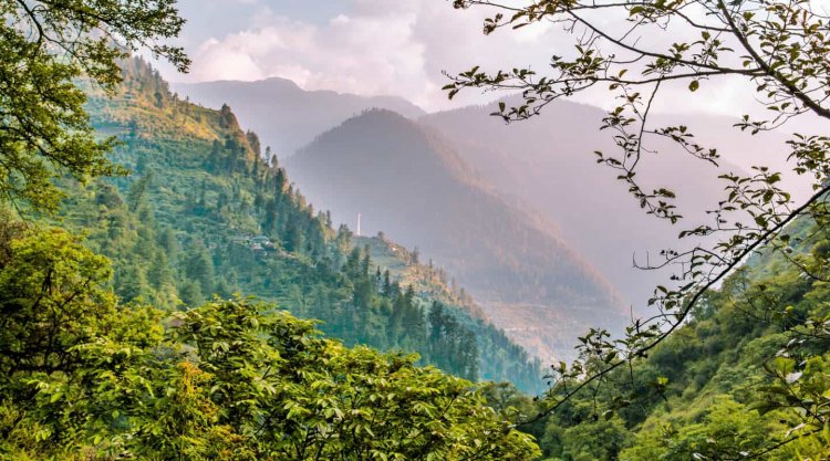 A Comprehensive Guide for Tirthan Valley Treks in 2021