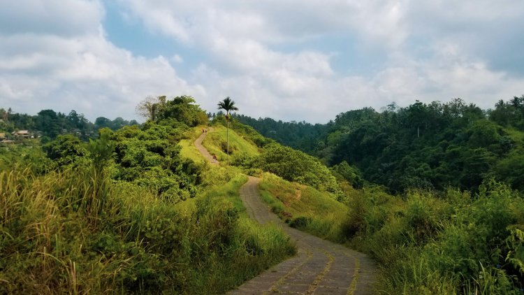 Things to do in Ubud