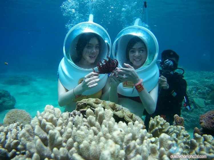 Phu Quoc Scuba Diving – The best tips for newbies