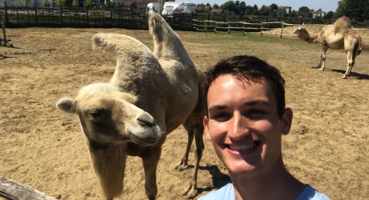 A Trip to the Djurdjevac Zoo (with camels!!): Hrvatska Sahara