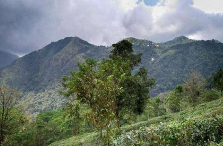 भारत के सबसे शांत और कम बजट वाले 10 पर्यटन स्थल, घूमने के लिए है बेस्ट