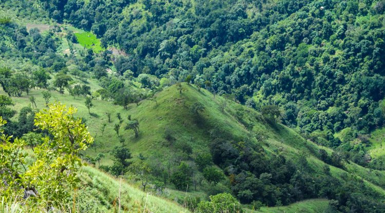 Things to do in Ella