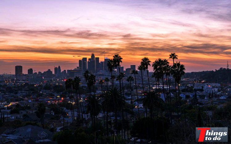 Fun Things to do in LA at Night