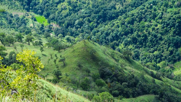 Things to do in Ella