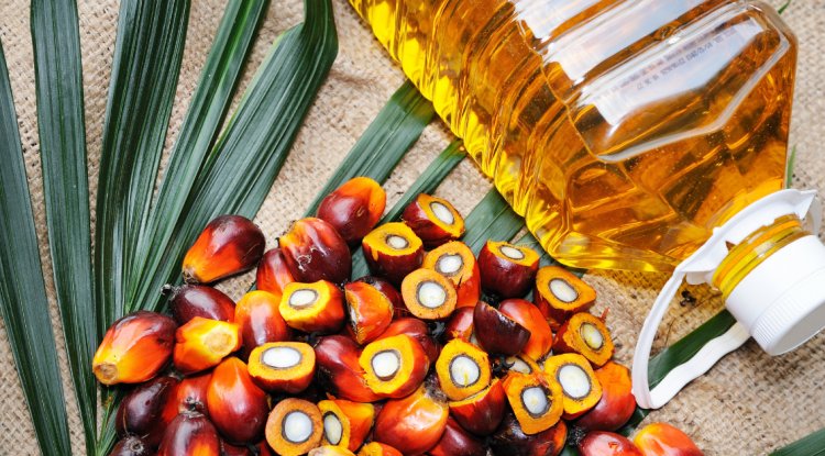 Sustainable Palm Oil: Fact or Fiction? A Look at RSPO Certification