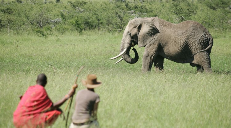 Responsible Travel Tips for 2021