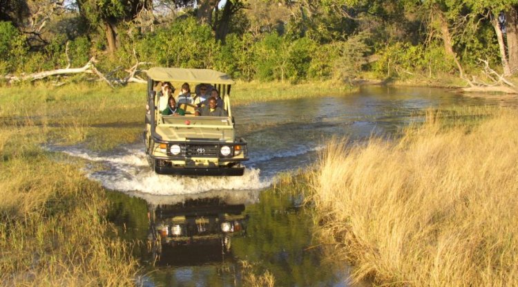 Discover the Best Time to Visit the Okavango Delta