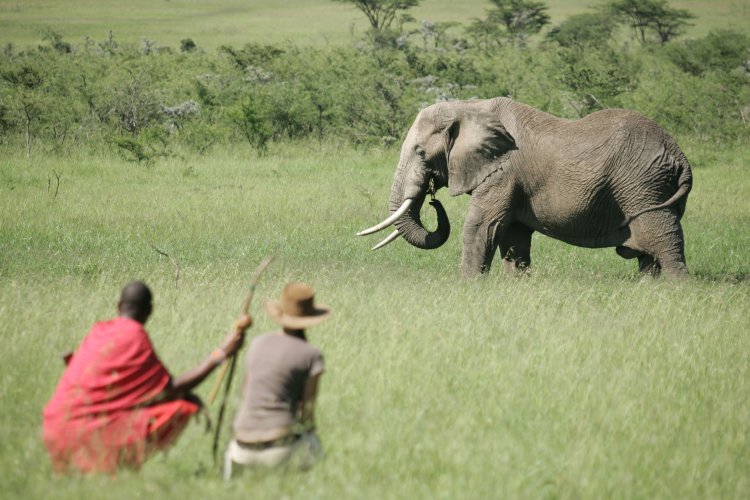 Responsible Travel Tips for 2021