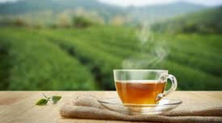Monsoon Mein Ghumne Ki Jagah: बारिश के दीवानों के लिए जन्नत हैं ये पर्यटन स्थल