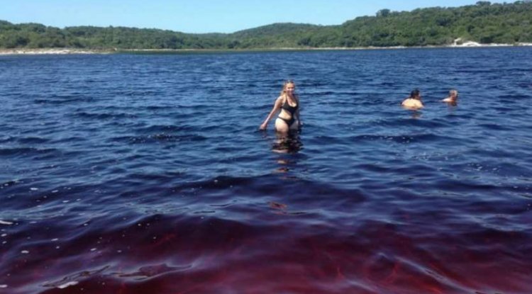 Coca-Cola lake brazil:कोको कोला का समुद्र! जानिए इसके पीछे का रहस्य