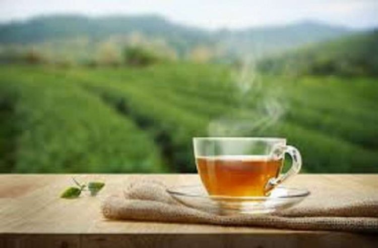 Monsoon Mein Ghumne Ki Jagah: बारिश के दीवानों के लिए जन्नत हैं ये पर्यटन स्थल