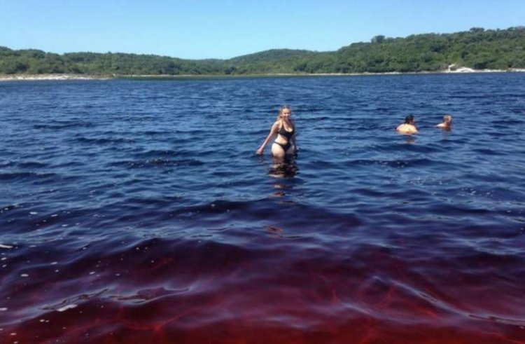 Coca-Cola lake brazil:कोको कोला का समुद्र! जानिए इसके पीछे का रहस्य