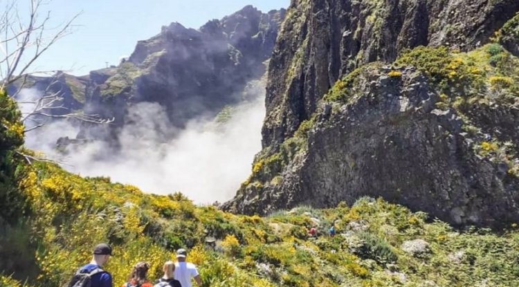 A 7-day itinerary for Madeira, Portugal