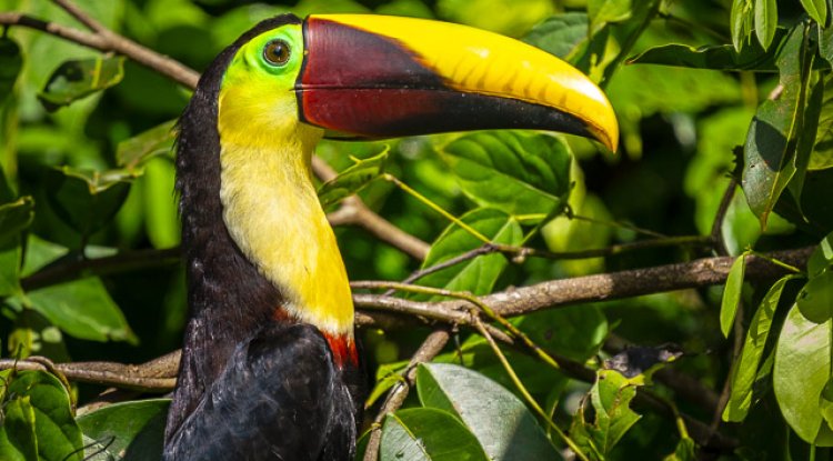 Solo travel to Central America – What  to do in Central America 2022
