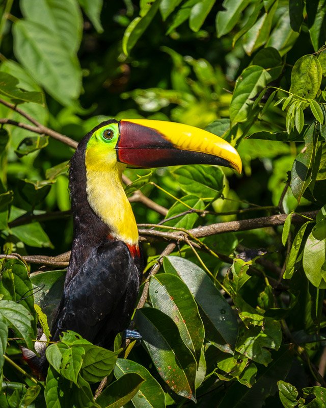 Solo travel to Central America – What to do in Central America 2022