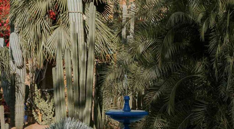 The best places to visit in Marrakech, Morocco 2022