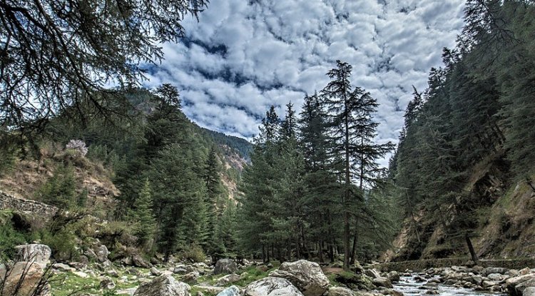 How To Plan A 7-Day Trip To Himachal Pradesh?