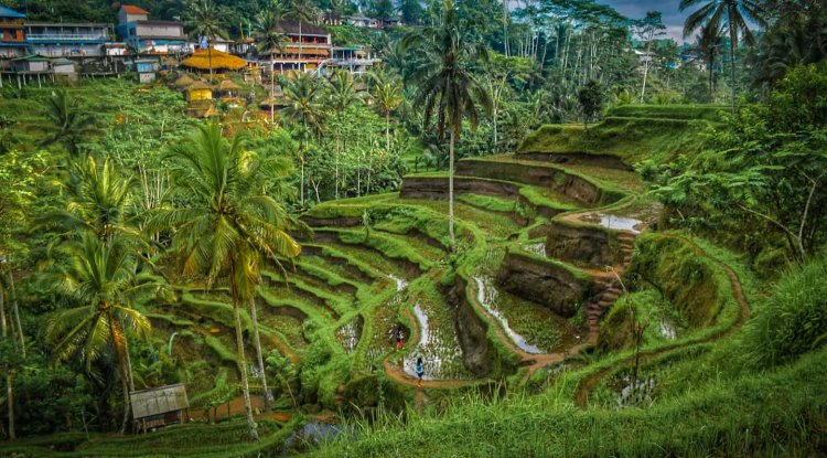 12 Kickass Things to do in Bali for an Epic Vacation in 2022