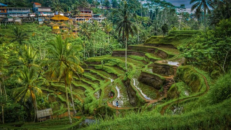 12 Kickass Things to do in Bali for an Epic Vacation in 2022