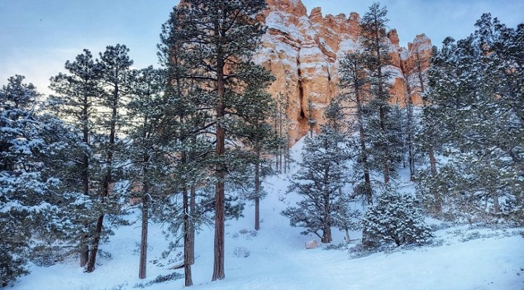 Everything things you should know about hiking in the Mighty 5 in Utah