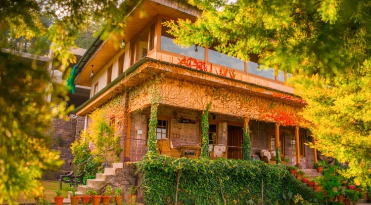 Sylvan Villa Kasauli: A Luxurious 100-Year-Old British Villa in Dharampur