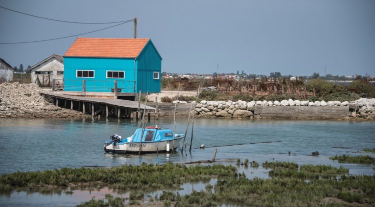 Houseboat Vacations: Ideas for Your Next Adventure