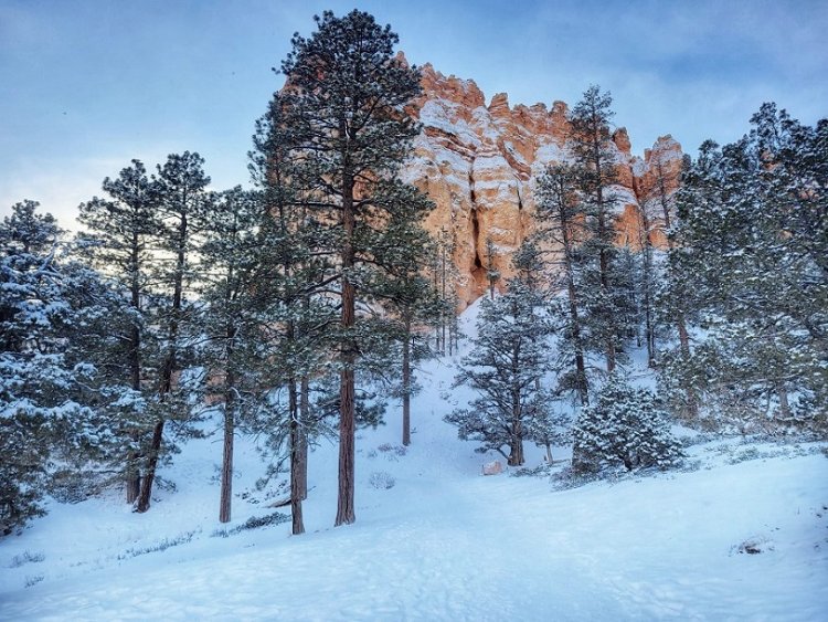 Everything things you should know about hiking in the Mighty 5 in Utah