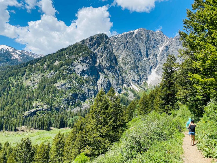 Life and death in Death Canyon