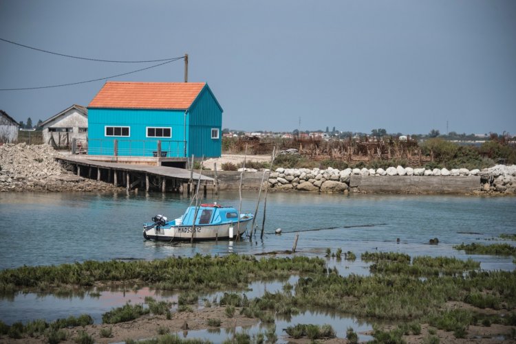 Houseboat Vacations: Ideas for Your Next Adventure