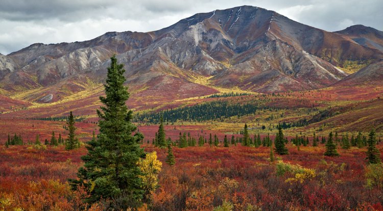 15 Best fall camping destinations in the US you can’t miss
