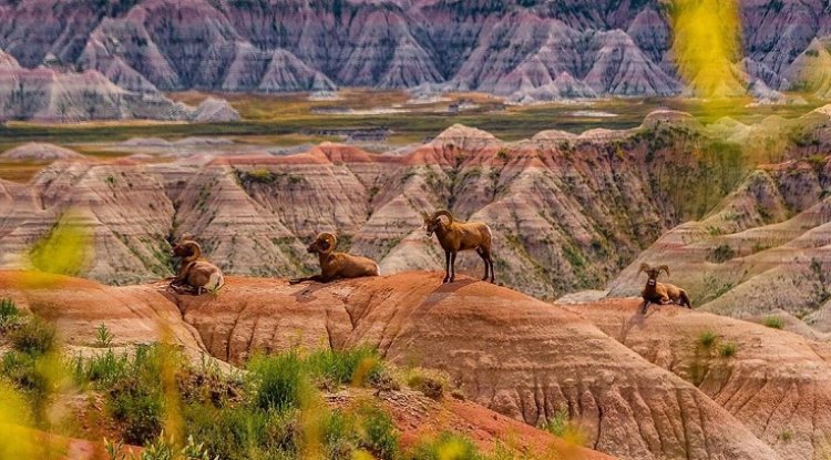 Badlands national park travel guide – All things you need to know