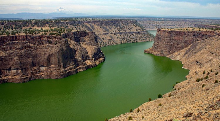 Exploring Nature’s Time Capsule: A Journey to Billy Chinook Lake and Beyond