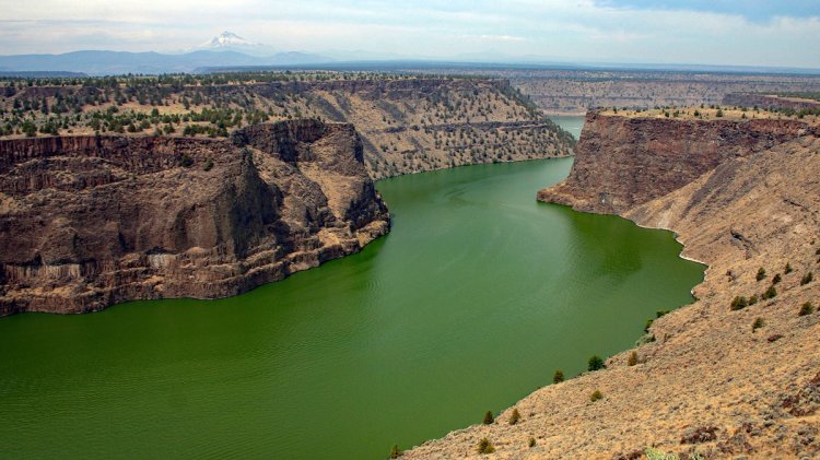 Exploring Nature’s Time Capsule: A Journey to Billy Chinook Lake and Beyond