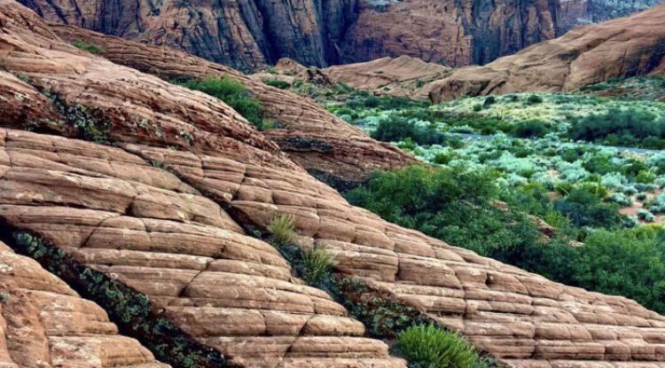 Unveiling the Mysteries: Dusk at the Petrified Sand Dunes of Snow Canyon, Utah