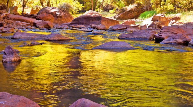 Fall Splendor: A Journey Along the Riverwalk in Zion National Park