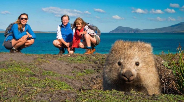 10 Bucket List Australian Wildlife Encounters
