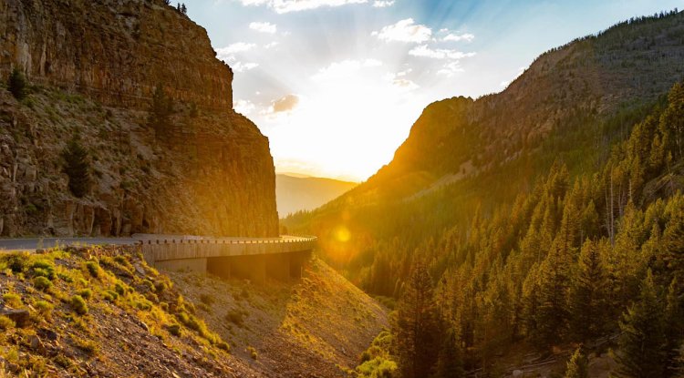 A Scenic Road Trip in Yellowstone National Park : Exploring Heyden Valley, Lamar Valley, and Beartooth Highway