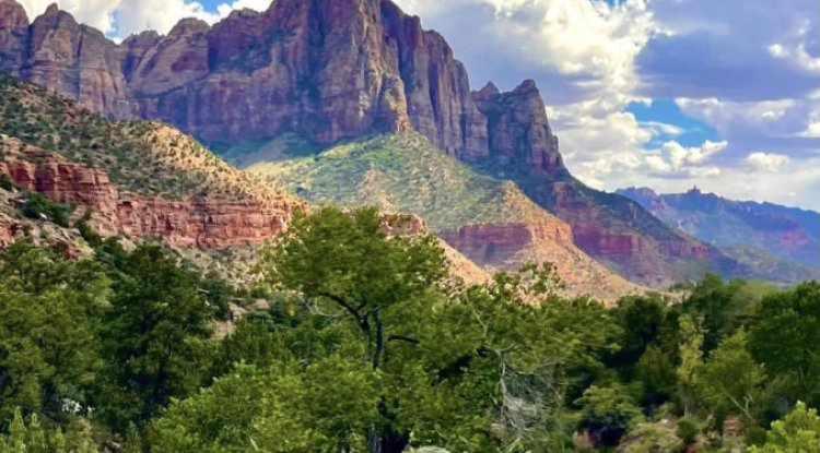 A Mesmerizing Journey: A Late Afternoon Drive in Zion