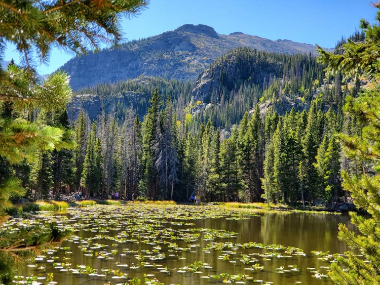 The Emerald Lake Trail: A Journey Through Rocky Mountain’s Gemstone Lakes