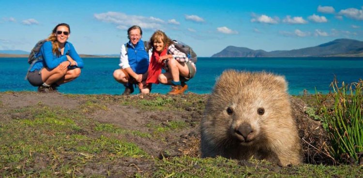 10 Bucket List Australian Wildlife Encounters