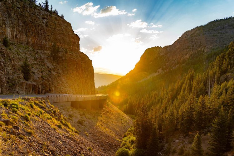A Scenic Road Trip in Yellowstone National Park : Exploring Heyden Valley, Lamar Valley, and Beartooth Highway