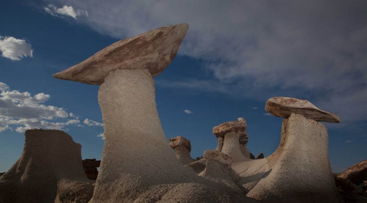 Unveiling Enchantment: Exploring New Mexico’s Bisti Badlands and Ah-Shi-Sle-Pah Wilderness