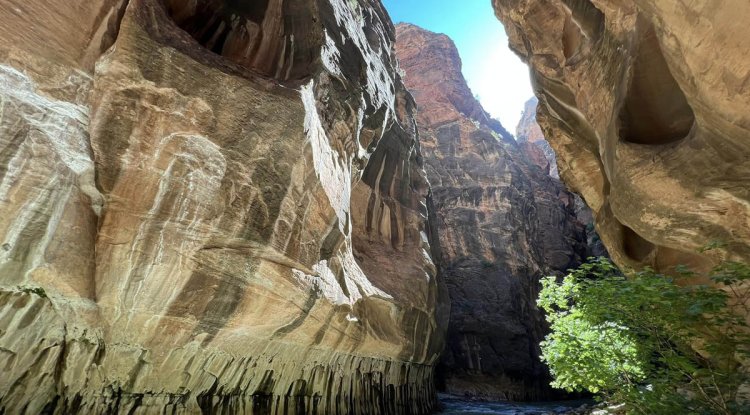Unforgettable Adventure: A Road Trip Itinerary to Zion’s Narrows Hike in 2023