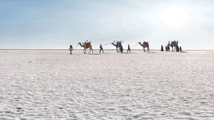 A Mesmerizing Celebration: White Rann Mahotsav