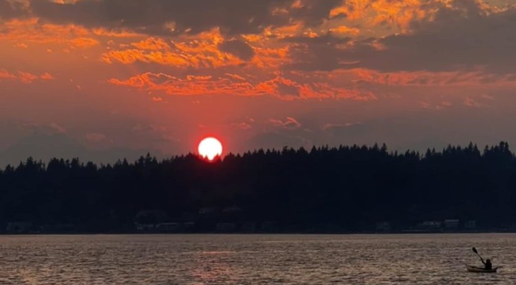 Discovering the Natural Beauty of Fort Ward Park on Bainbridge Island, Washington