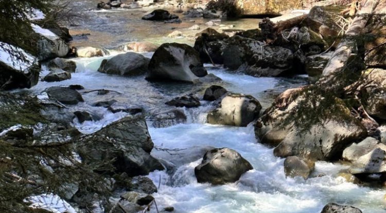 Discovering Natural Beauty: Hiking the Staircase Rapids Loop Trail in Olympic National Park