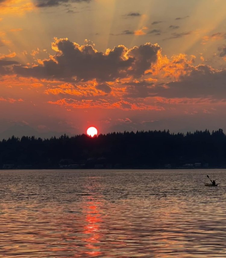Discovering the Natural Beauty of Fort Ward Park on Bainbridge Island, Washington