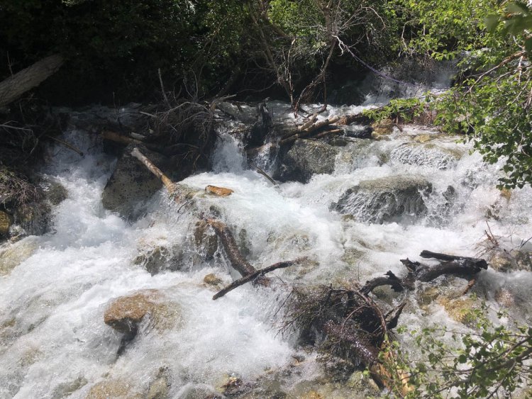 Road trip 2023 – An Unexpected Adventure in the Eastern Sierra High Country