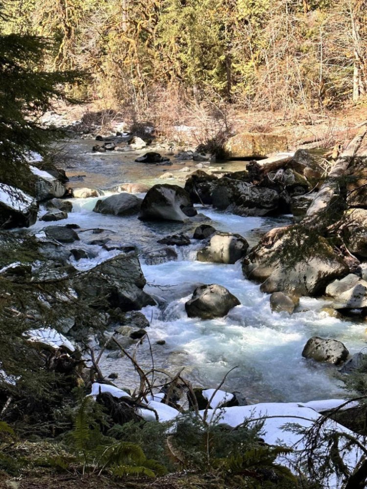 Discovering Natural Beauty: Hiking the Staircase Rapids Loop Trail in Olympic National Park