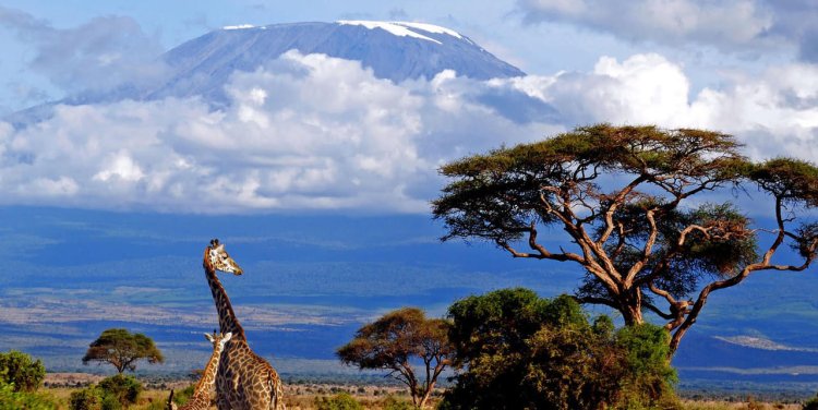 Destination Tanzania: A Captivating Blend of Nature, Wildlife, and Culture